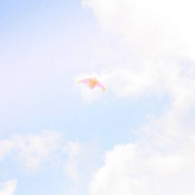 朝鲜向韩国空飘150多个“污秽物气球”